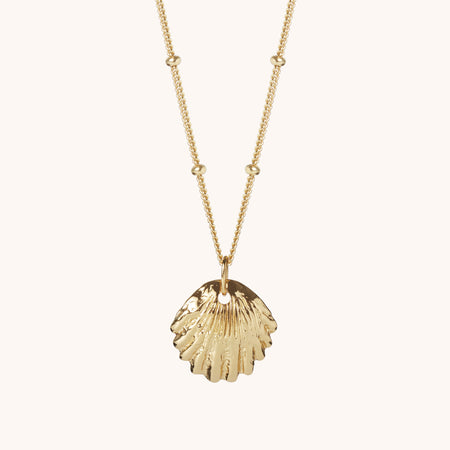 Shell Necklace Gold